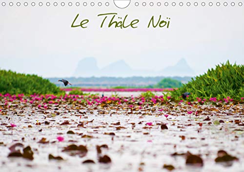 Le Thaele Noi (Calendrier mural 2021 DIN A4 horizontal): Lac thailandais dans la region de Tambon. (Calendrier mensuel, 14 Pages