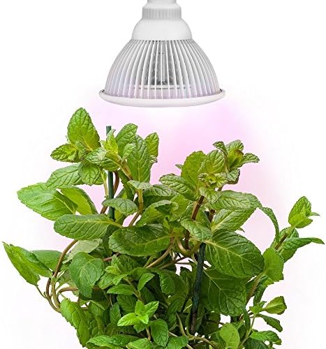 Sandalwood LED Plant Grow Light for Hydroponic Garden and Greenhouse, 12W, E27 Socket-3 Pack