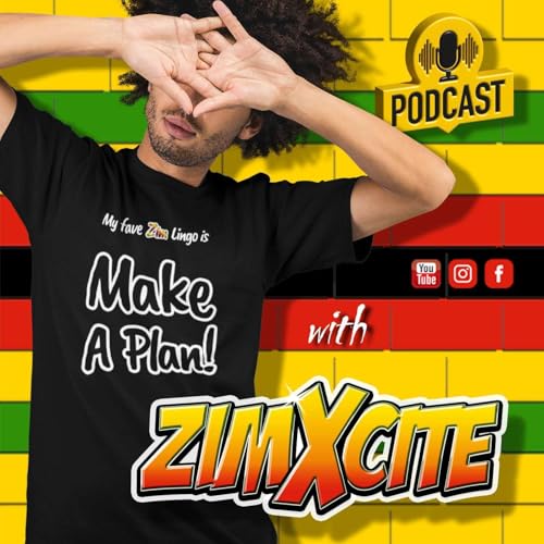 Make A Plan with ZimXcite cover art
