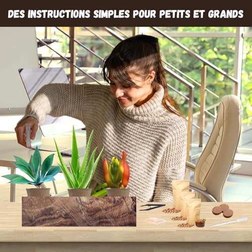NOPALIA® Kit Plantes Grasses & Aloe Vera à Faire Pousser – Succulentes Agave, Carpobrotus & Aloe Vera – Cadeau Écologique – Mini Jardin DIY – Décoration Maison, Bureau – cadeau fête des mères original – vue 3