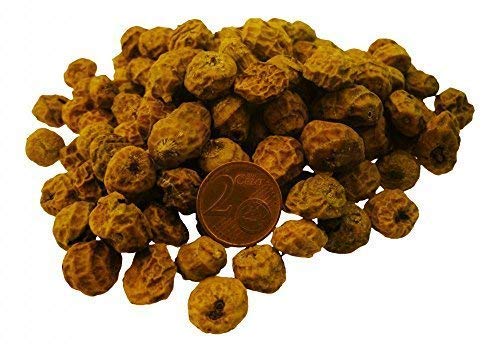 Tigre D'Ecrous Jumbo XXL Env. 12-22mm 20Kg Giant Tiger Nuts