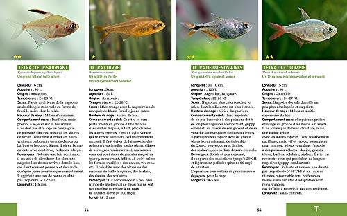 80 poissons exotiques – vue 8