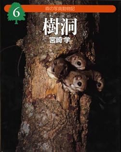 Amazon.com: Manabu Miyazaki: books, biography, latest update