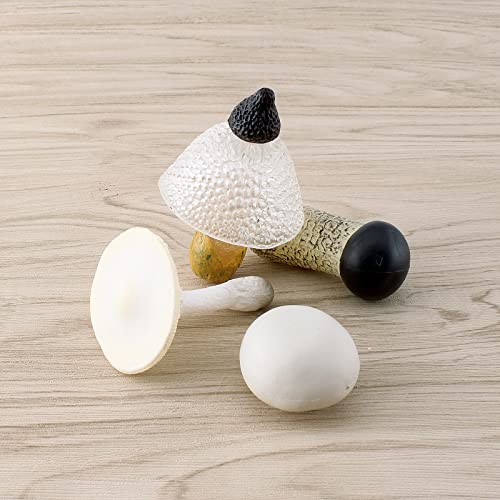 Gufoponas Lives Of Fungi Mushroom Figure Toy Set 4Pcs Mini Realistic Mushroom Decor For Diorama Projects Kids Birthday Gift Learning Toy #TOP3