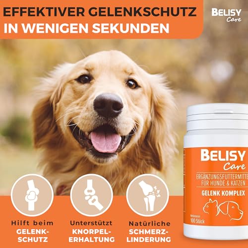BELISY natürliche Gelenktabletten für Hunde - mit Grünlippmuschel, Glucosamin, Teufelskralle & MSM - Gelenk & Knochenschutz Tabletten für Hunde Gelenk Komplex (150g)