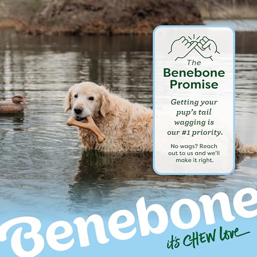 Image of Bundle of Benebone Wishbone Durable Dog Chew Toy for Aggressive Chewers, Duck, Made in USA, Medium + Benebone Medium 4-Pack Dog Chew Toys for Aggressive Chewers, Made in USA, 60lbs and Under
