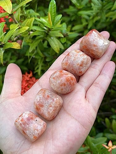 Image of GAF TREASURES 1 /2 LB Sunstone Tumbled Stones, Polished Sunstone Gemstone, Sunstone Healing Crystals (Sunstone)