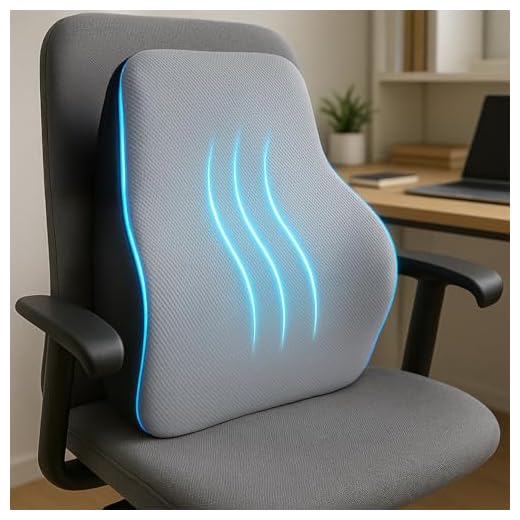 Sleepsia Back Support for Office Chair | 1 Year Warranty | Lumbar Support for Office Chair, Car Seat Back Support, Memory Foam Pillow, Orthopedic Lumbar Back Rest for Back Pain Relief (Grey/Black)