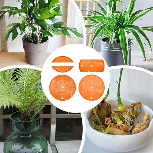 Inserts de plantation ronds réutilisables robustes pour aménagement extérieur durable - 5