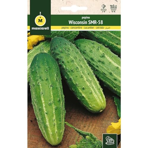 Mascarell Semillas, PEPINO, Semillas Huerto, PEPINO WISCONSIN SMR-58, Crea tu Propio Huerto Urbano y Cultivo en Casa, Plantas Hortícolas, 5 Gramos