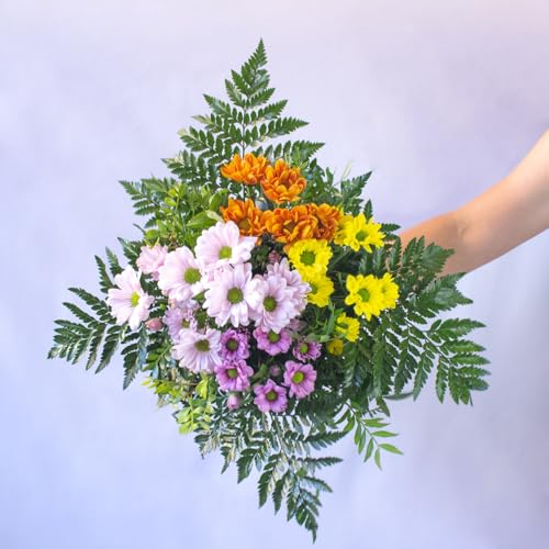 Acurrucalas® - Ramo Margaritas Variadas con Dedicatoria - Flores Naturales - Día de la madre - Flores cumpleaños - Ramo de Flores Frescas - Entrega en 24 horas de Martes a Sábado