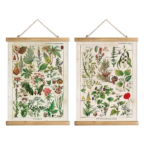 XIAOAIKA 2 Pack Vintage Plants Poster Hanger Frame, Retro Style Wall Decor Art Painting, Patterns are Printed on Linen Without Fading, Scrolls Made of Fir are Durable (16 x 23 inch)
