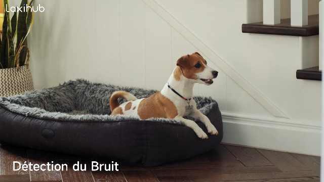 Caméra Surveillance WiFi Intérieur 2K Caméra 360° Connectée Smartphone