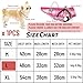 Hundemantel Winter, RosyFate Hund Warm Kleidung, Welpen Jacke, Weste Hund, Hunde Mantel Regendicht Winddicht, Hundemantel für Kleine und Mittlere Hunde (Rosa L)
