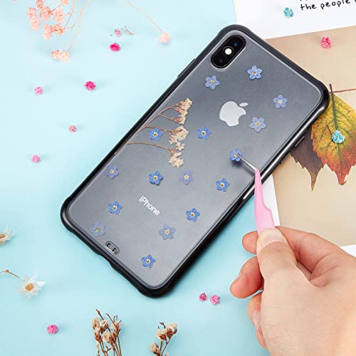 Nuanchu Natural Forget-me-not Dried Flowers Don't Forget Me Dried Real Pressed Flowers for Jewelry Candle Card Making DIY Resin Ornaments Nail Art Decorations(50 Pieces) - Image 3