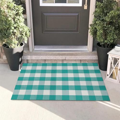 LYGLIGH Green and White Outdoor Rug, Buffalo Plaid Rug, 27.5"x43" Checked Rugs Washable, Cotton Front Door Mat Indoor, Low Pile, Fade Resistant, Pet-Friendly Area Rug for Kitchen, Farmhouse, Entryway