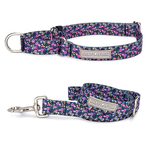 Lucky Love Dog Martingale Leash Collar Set, Premium No Slip Collar, Great for Whippets, Greyhounds...