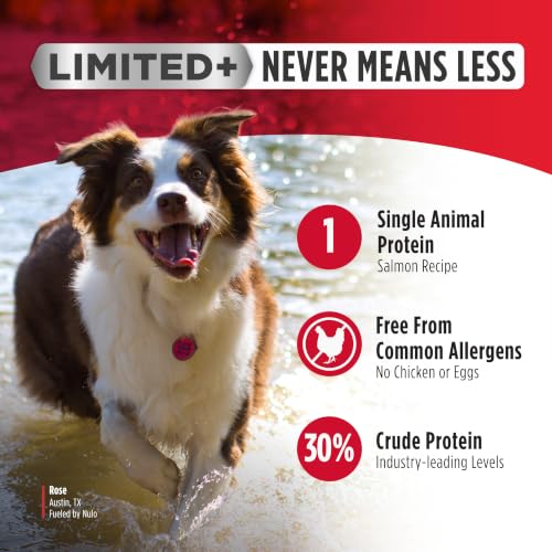 Image of Nulo FreeStyle Limited Ingredient Dry Dog Food - High Protein Salmon Recipe, Natural Grain Free Dog Food for Puppies & Adults, Small, Medium and Large Breed Kibble, 5.5lb Bag