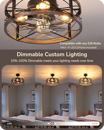 Image of EDISHINE 20 Inch Fandelier Caged Ceiling Fans with Lights and Remote, 10%-100% Dimmable, Rustic Bladeless Ceiling Fan, Small Farmhouse Fan Lights Ceiling Fixtures for Kitchen, Bedroom-Brushed Gold