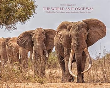 Hardcover The World As It Once Was - Wildlife Has Never Been More Gloriously Shown Before Book