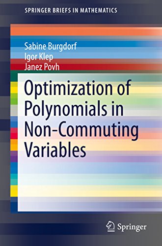 Optimization of Polynomials in Non-Commuting Variables (SpringerBriefs in Mathematics) (English Edition)