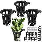 HSDJLXZ 4 PCS Upgraded Aquarium Plant Holder, Fish...