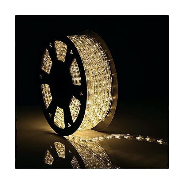 Buyagn 100ft led rope lights