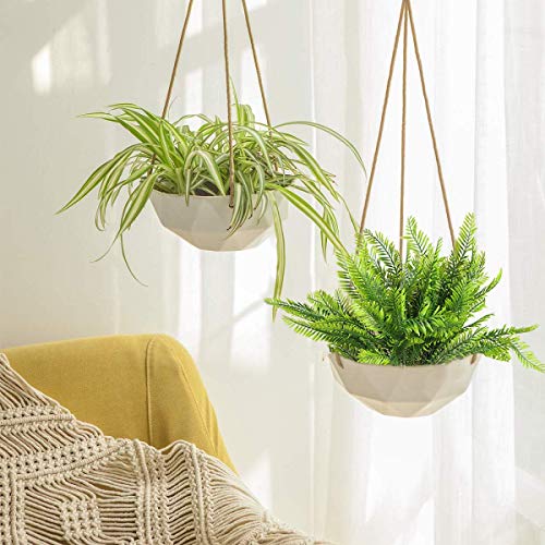 Rinlong 6Pcs Artificial Boston Fern #TOP7