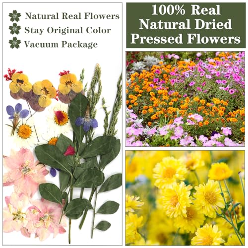 YSWOVUO 90 Stück Natürliche Getrocknete Blumen, Gemischte Getrocknete Blüten und Blätter, Gepresste Blumen für DIY Kerzen Harz Schmuck Nagel Anhänger Scrapbooking Kunsthandwerk Dekorationen