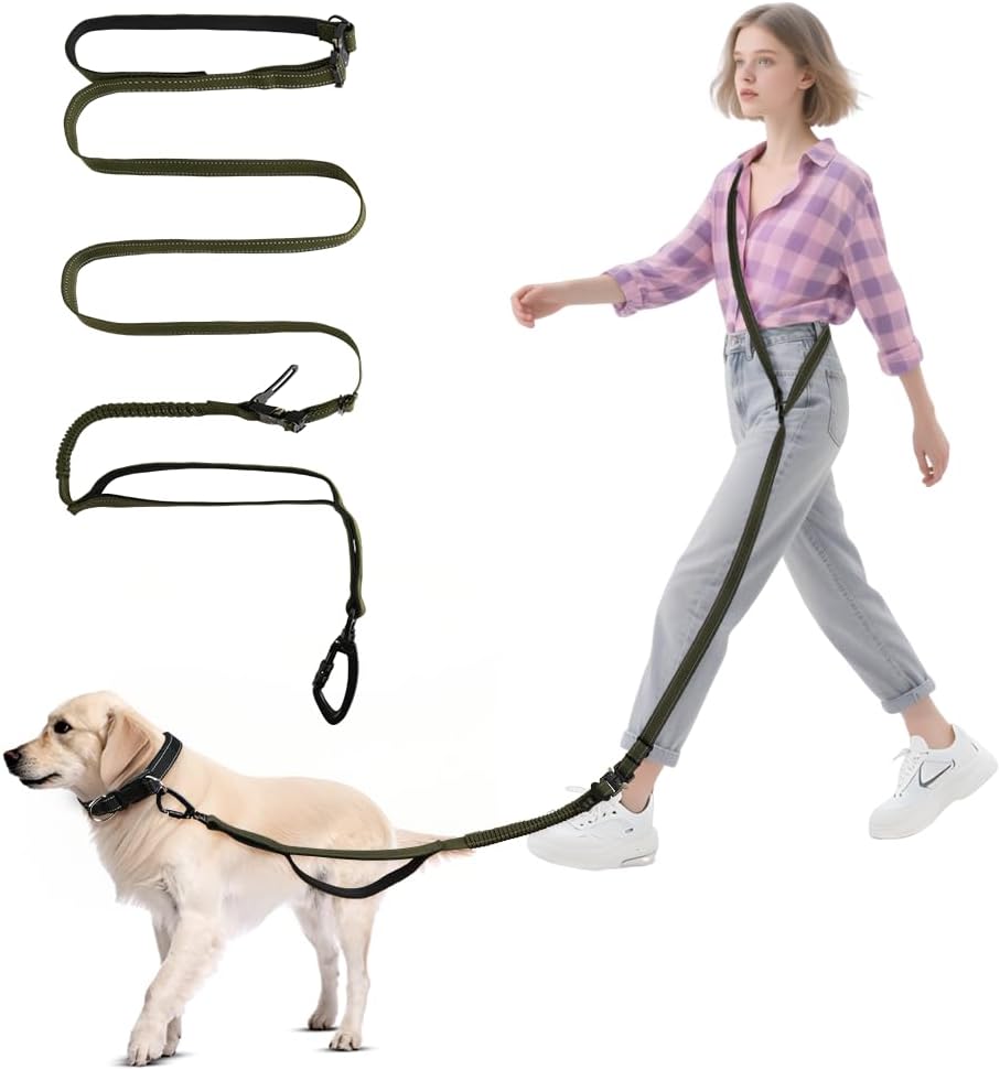Kostenlose Hundeleine, 2,5 m lange Joggingleine, verstellbarer Hüftgurt und dehnbare Bungee-Leine, lange Hundeleine mit Sicherheitsschnalle und reflektierenden Nähten für kleine, mittelgroße und große Hunde