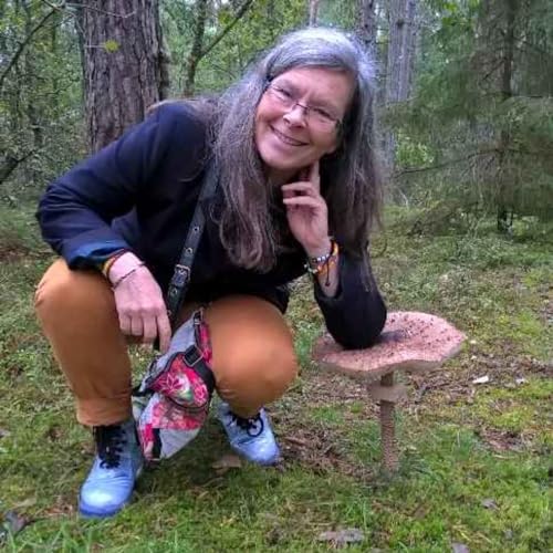 Couverture de Nosighetspodden