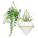 Hogar de plantas: macetero pared son adecuados tanto para el cultivo del suelo como para la hidroponía. macetas pared es adecuada para plantas de interior, suculentas, plantas de aire, cactus, flores artificiales, hiedra, etc., y también se puede usar como contenedores de almacenamiento para colocar reglas, clips, bolígrafos, bolígrafos, monedas, etc.