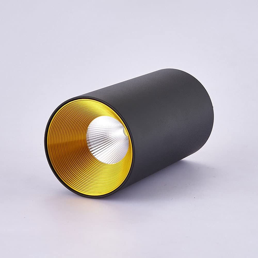 Podtynkowy reflektor sufitowy, 10 W, cylindryczna oprawa aluminiowa, nowoczesne i czyste oświetlenie nastrojowe do magazynu, wyspy kuchennej, korytarza