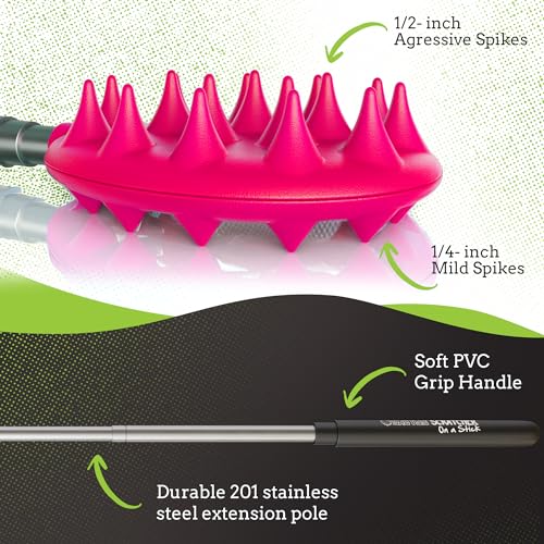 Coçadores traseiros, Comum, rosa