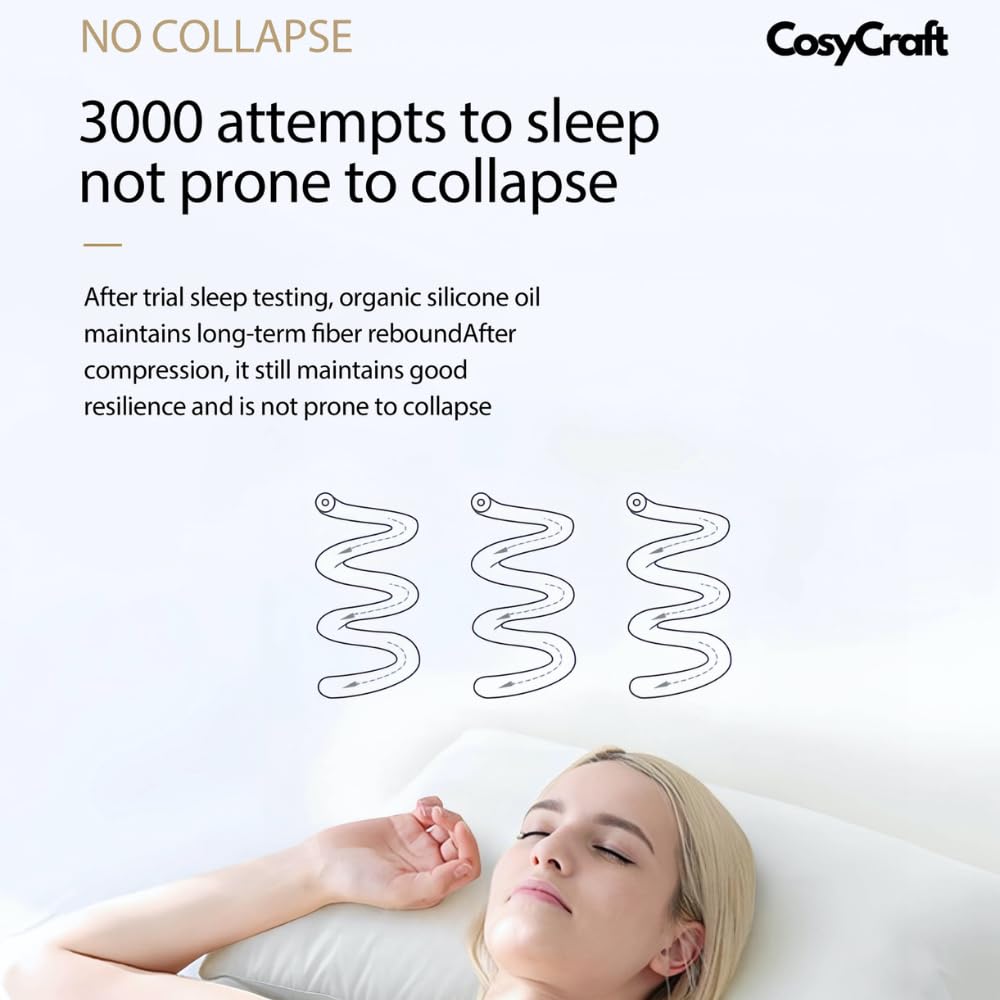 https://m.media-amazon.com/images/I/515BouCb8AL.jpg