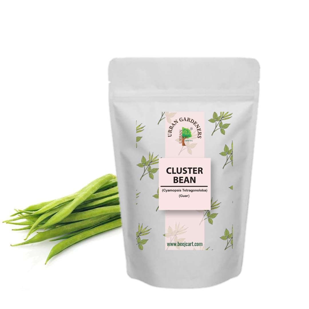 CLUSTER BEAN SEEDS 100 Seeds Organic Seeds Non-GMO Quick Growth (B0CKBYJXKD) Amazon Price History, Amazon Price Tracker
