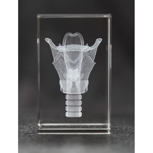 Larynx 3D Laser 1lb Crystal and Larynx Sticky Note, Anatomy, Voice Box, Singing, Adam's Apple