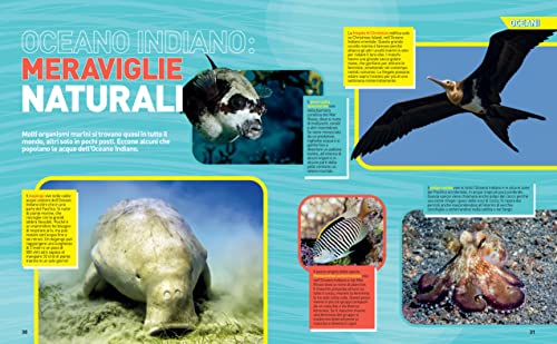 Enciclopedia Oceani - La Grande Enciclopedia Degli Oceani | Edizione A Colori | Guida Completa Alla Vita Marina, Atlante Illustrato - 8