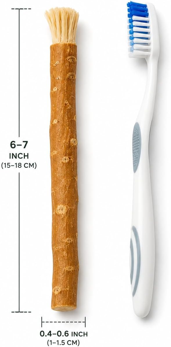 Miswak Sticks for Teeth Natural Toothbrush Organic - 4 Pack Vacuum Sealed Siwak Stick, Premium Salvadora Persica for Teeth Whitening, Fresh Breath, Healthy Gums, Chemical Free Oral Care image 3