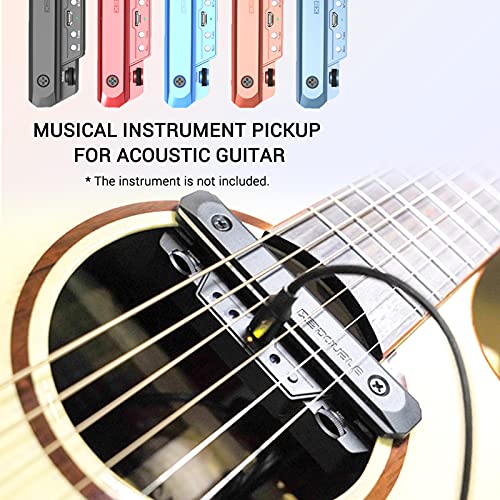 Micro de guitare acoustique de rosace Double X0 pour scène et studio