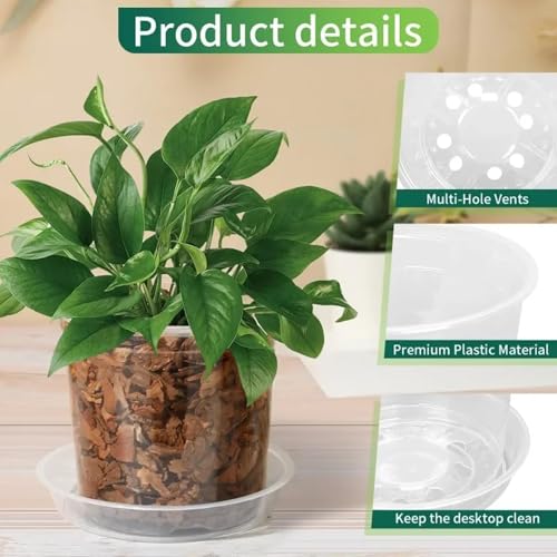 Pots de fleurs transparents 15cm : lot de 15 avec soucoupes pour le drainage