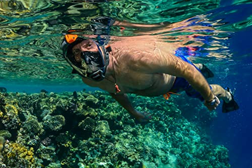OCEAN REEF - Aria QR + Máscara de Snorkel Full Face con liberación rápida - Visión subacuática de 180 grados - Negro, talla Large-Extra Large miniatura 3