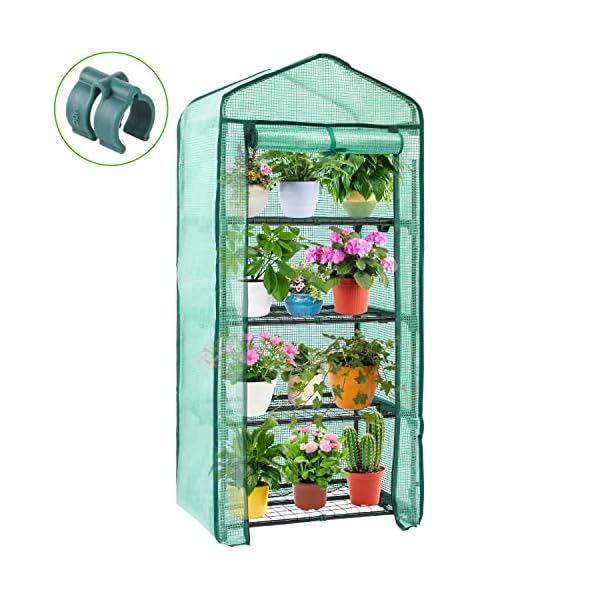 Ohuhu Mini Greenhouse for Indoor Outdoor, Small Plastic Plant Green House 4-Tier Rack Stand Portable Greenhouses with Durable PE Cover for Seedling, 2.5x1.6x5.2 FT, Ideal Gardening Gifts for Women Men