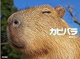 カピバラ