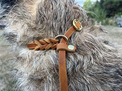 Fettleder Moxonleine Retrieverleine aus Leder Cognac mit Zugstop, Messing (150cm x 8mm)