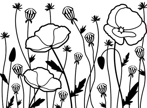 Darice Carpetas de estampación, Plantilla Campo de Amapolas, Plastic, 10,8 x 14,6 cm