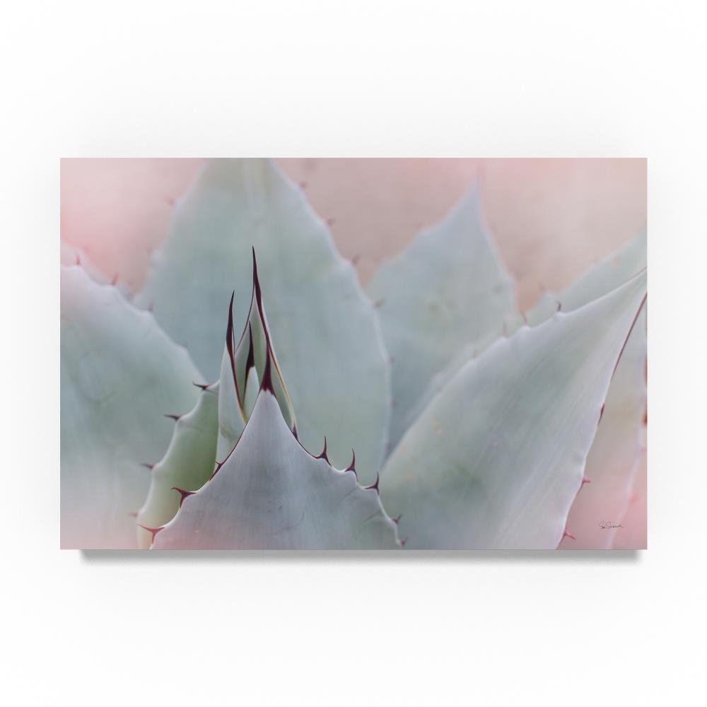 Dream Desert V by Sue Schlabach, 30x47-Inch Canvas Wall Art