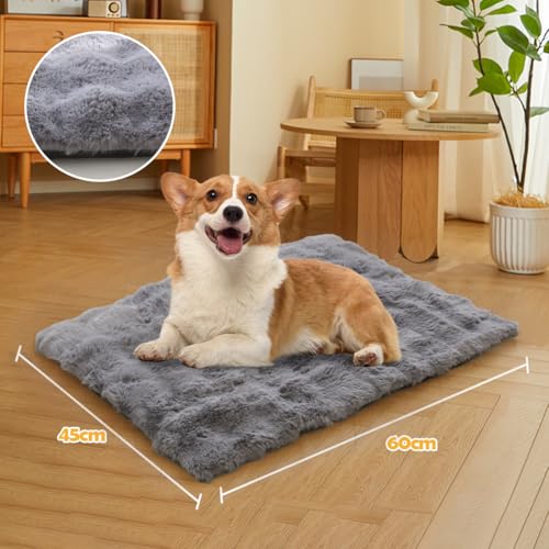 XIAPIA Selbstheizende Decke Katze & Hunde, Flauschig Selbstwärmende Katzendecke ohne Kabel, Wärmedecke Heizdecke ohne Strom, Washbar Thermodecke Katzenkissen Katzenbett Indoor im Auto Grau 60 * 45 cm
