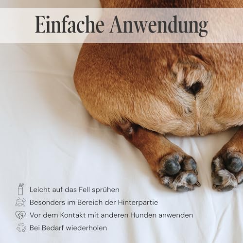 Sensipharm Anti Flirt Spray für Hunde – maskiert Läufigkeitsgeruch bei Hündinnen, reduziert unerwünschte Aufmerksamkeit von Rüden – natürliche Duftformel, 100 ml