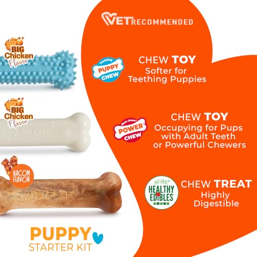 Image of Nylabone New Puppy Starter Kit, Puppy Teething Toys, 3 Pack, Blue | Teething toys for puppies, natural chew treat & toy set for small dogs up to 25 lbs, long lasting chicken & bacon flavor